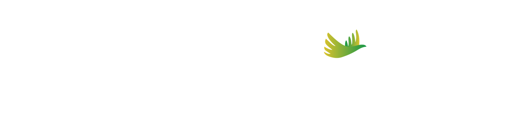 As Escolhas Que Definem Nosso Futuro