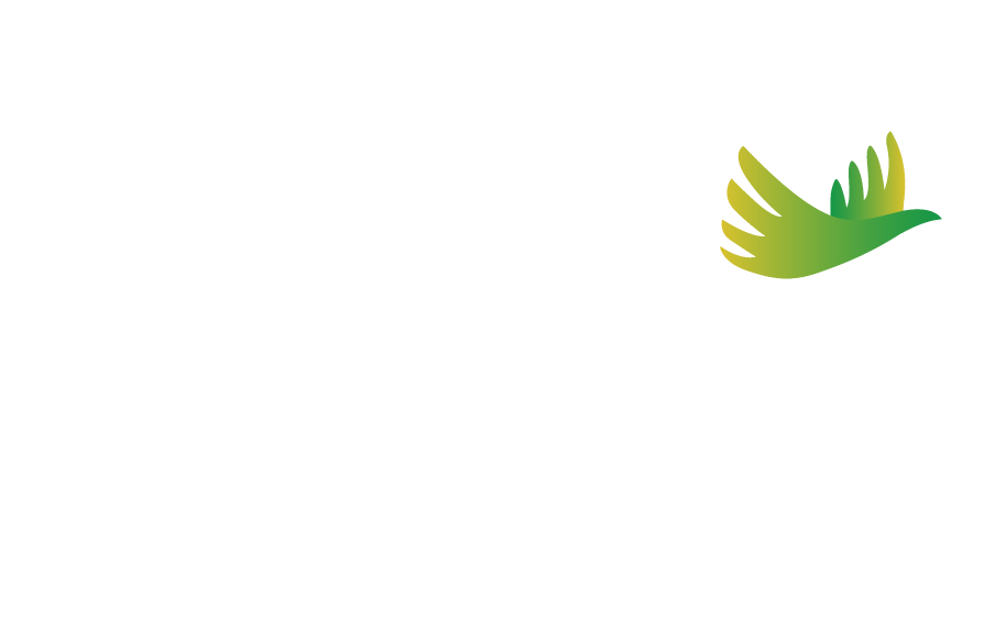 13º Fórum Caminhos da Liberdade